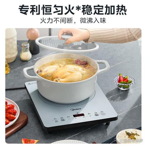 电磁炉品牌排名前10名 适合家庭使用的智能高效电器选购指南